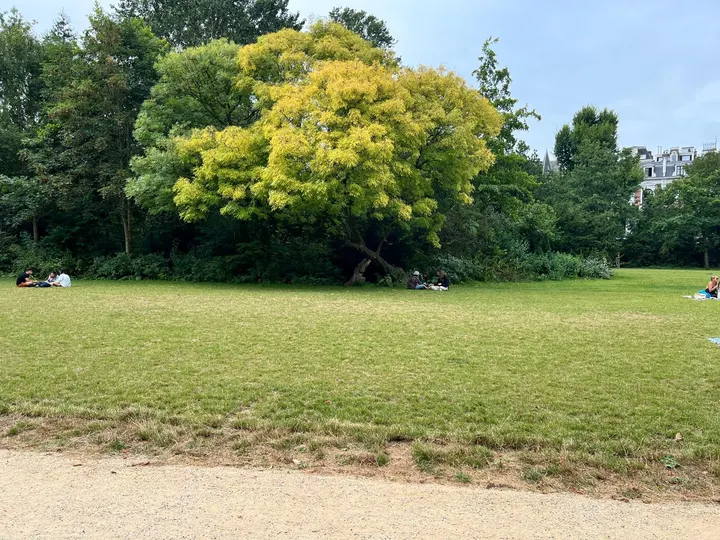 Fitmundo - Noorderpark — bootcamp-studio in Amsterdam — 3