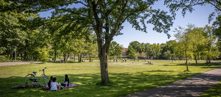 Fitmundo - Noorderpark — Bootcamp in Noord, Amsterdam