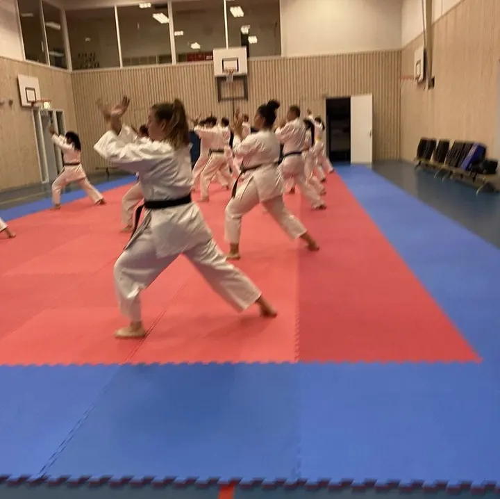 Budo Lifestyle Karate — vechtsport-studio in Nieuw-West, Amsterdam — 2
