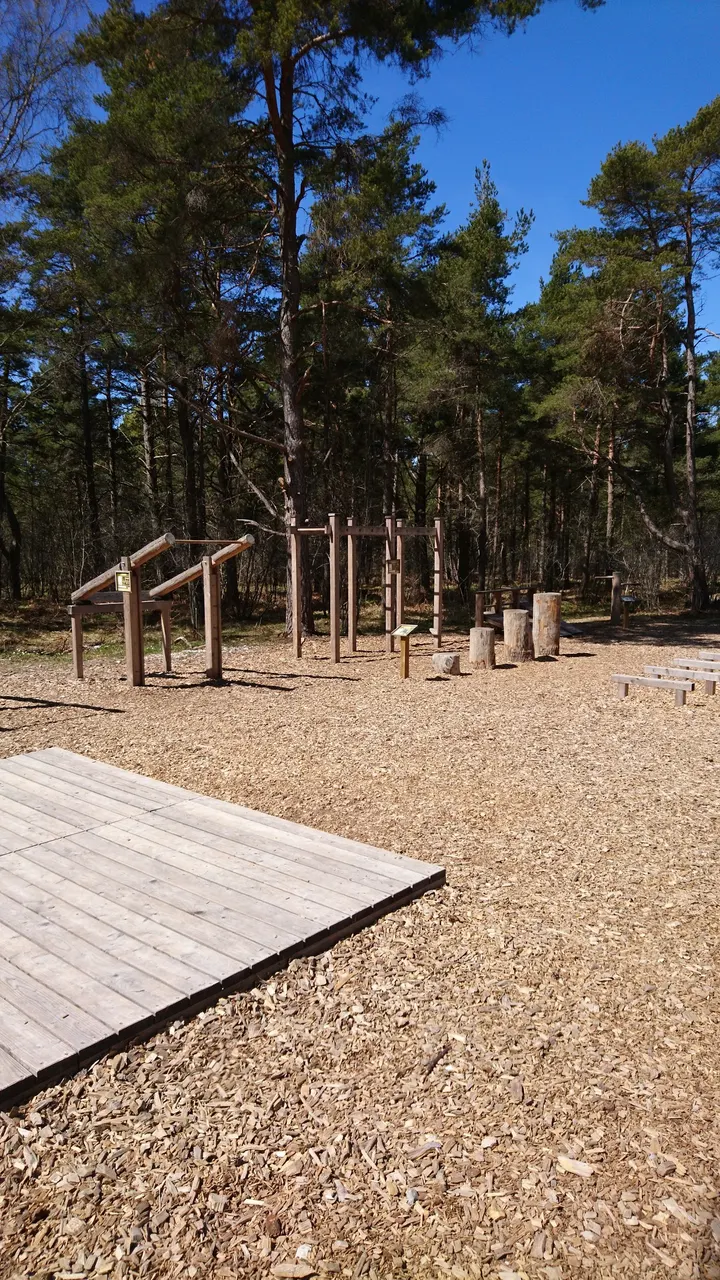 P18 Utomhusgym — calisthenics-studio i Djuplunda, Visby — 3
