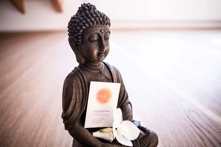 YOGALIV Yoga Wiesbaden — yoga-studio in Rheingauviertel / Hollerborn, Wiesbaden — 2