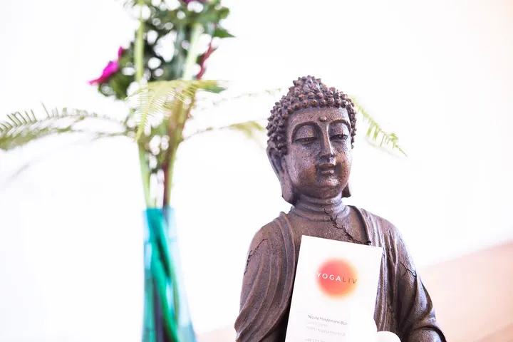 YOGALIV Yoga Wiesbaden — yoga-studio in Wiesbaden — 5