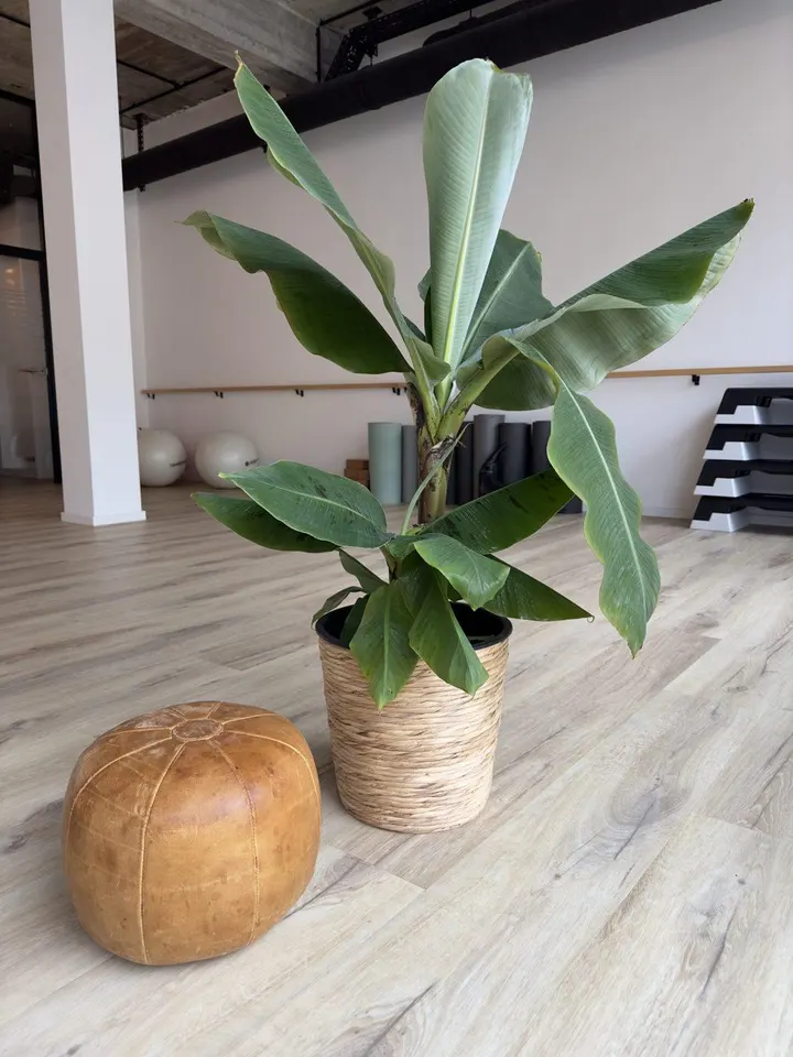 active+ — PT Studio in Innenstadt-West Westlicher Teil, Karlsruhe