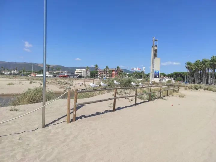 Plaza de las Palmeras (Passeig Marítim 58) — estudio de fitness-studio en Castelldefels — 2