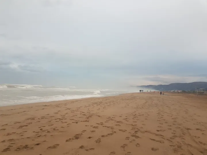 Plaza de las Palmeras (Passeig Marítim 58) — estudio de fitness-studio en Castelldefels — 5