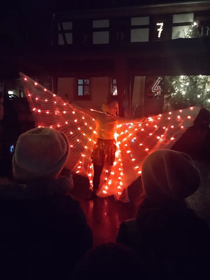 Poisonnelly Christiane Lingat — Aerial in Trachau, Dresden
