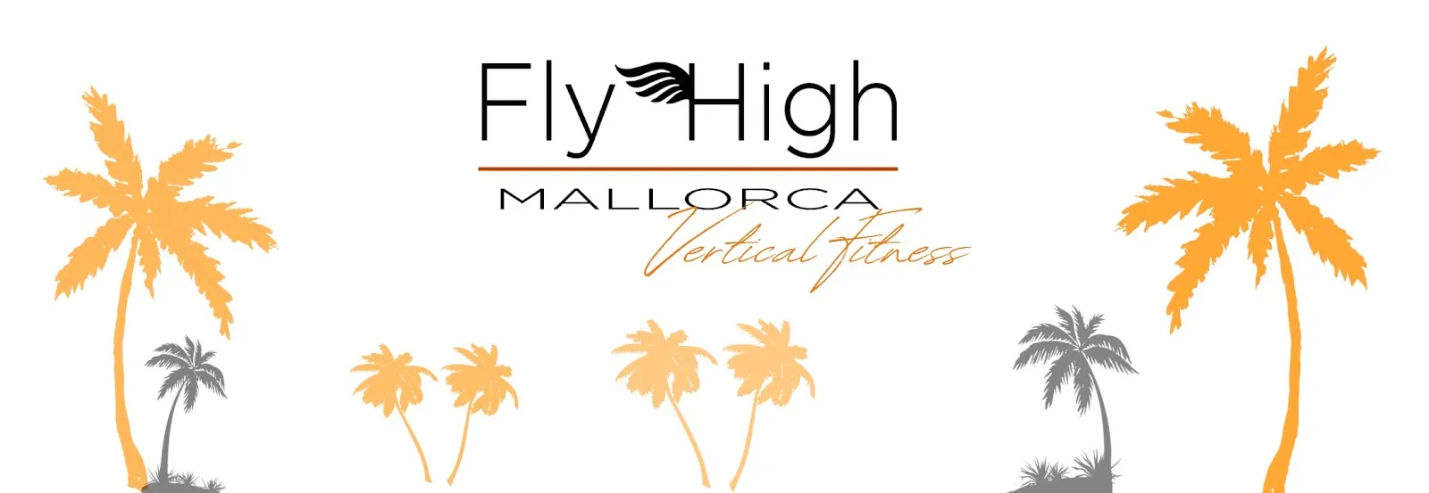 Fly High Mallorca-Inca. pole dance, artes aereas, aerial pilates & more! — pilates-studio en Inca — 4