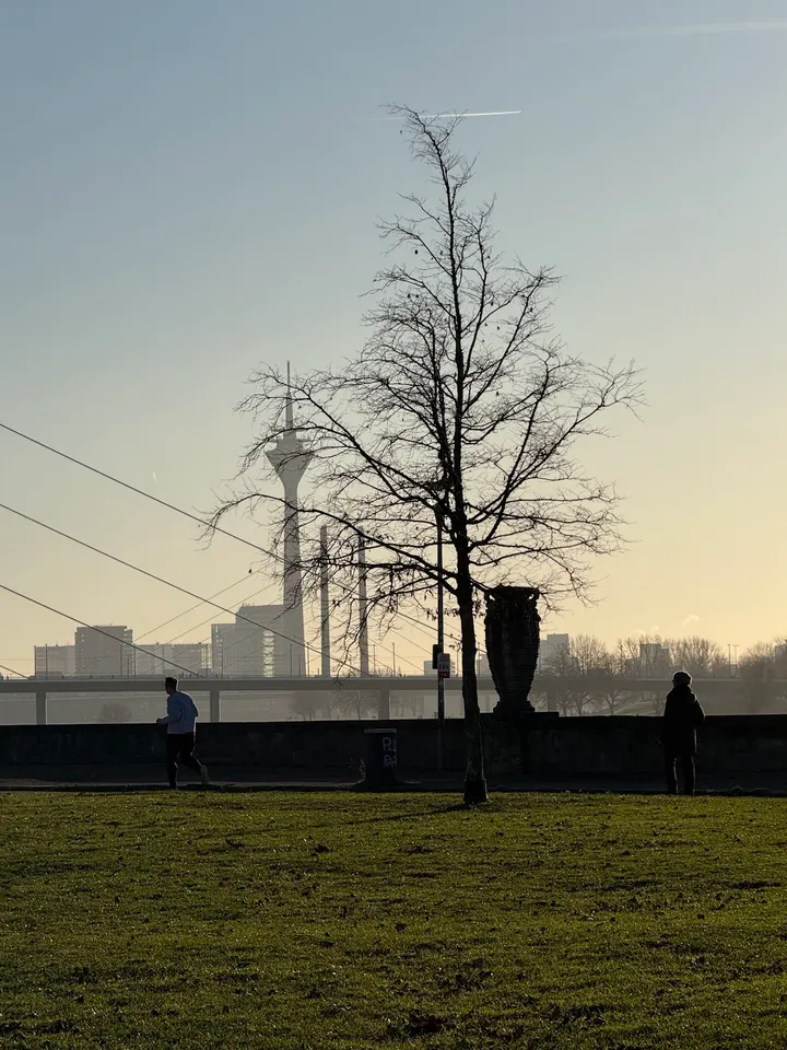 Original Bootcamp - Outdoor Fitness | Rheinpark - Düsseldorf — functional training-studio in Düsseldorf — 4