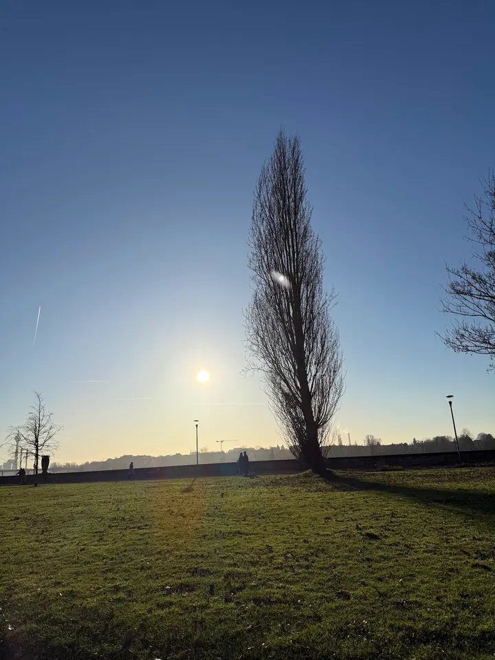 Original Bootcamp - Outdoor Fitness | Rheinpark - Düsseldorf — CrossFit in Golzheim, Düsseldorf
