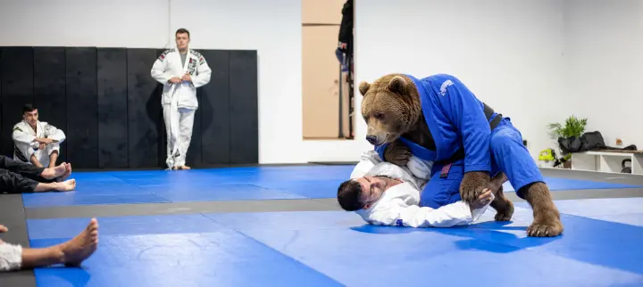 Strongbear BJJ & grappling — jjb-studio aux Hautiers, Marines — 2