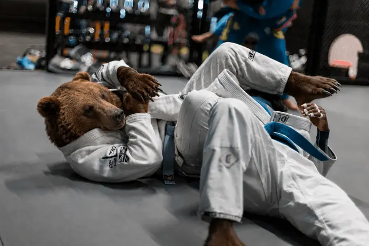 Strongbear BJJ & grappling — jjb-studio aux Hautiers, Marines — 3
