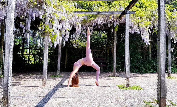 Pole Sisters Dein für und Luftakrobatik — Pole Fitness in Schildesche, Bielefeld