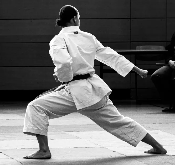 Vejle Karate,DGI huset (hal 2), Vejle — kampsport-studio i Vejle — 3