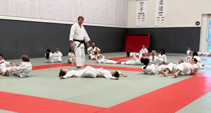 Vejle Karate,DGI huset (hal 2), Vejle — kampsport-studio i Vejle — 4
