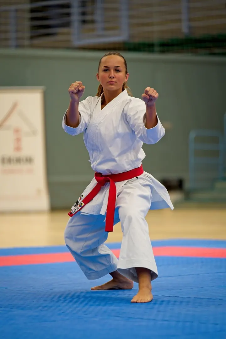 Vejle Karate,DGI huset (hal 2), Vejle — kampsport-studio i Vejle — 6