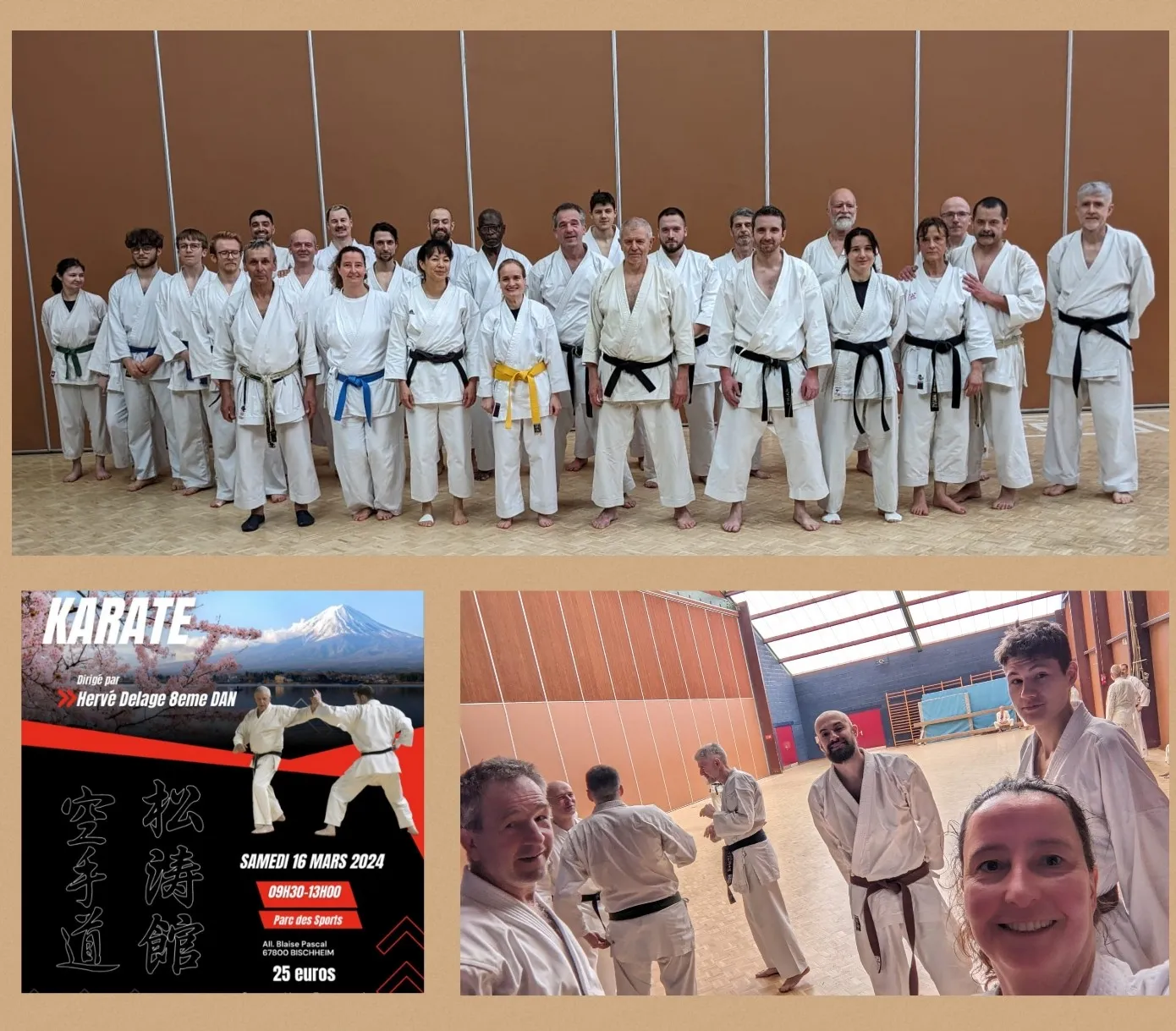 Karate Club Shintaikan e.V. — kampfsport-studio in Freiburg im Breisgau — 4