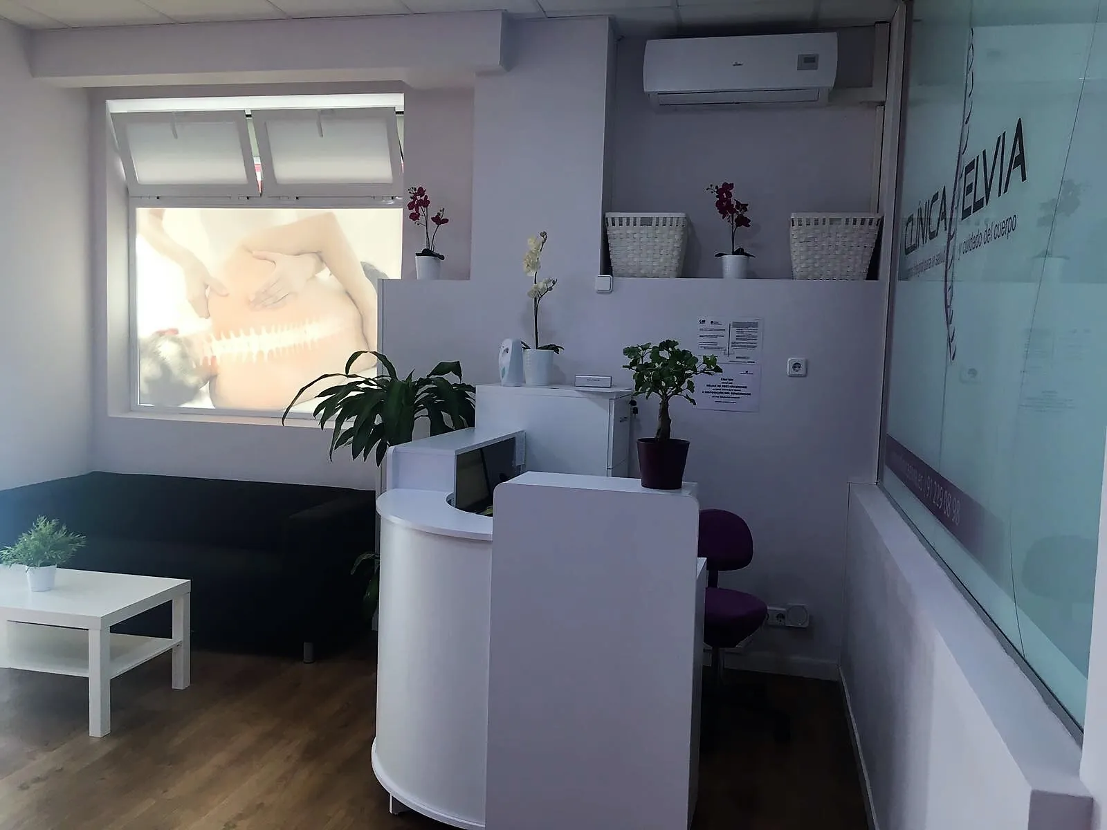 Clínica Elvia — entrenamiento personal-studio en Alcobendas — 4