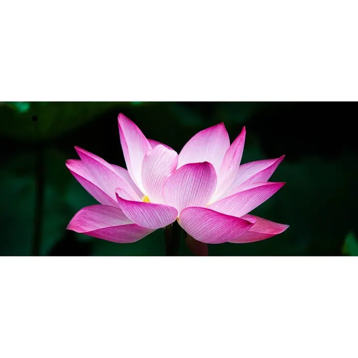 yoga-meditations-in-muenchen — Yoga in Haidhausen, München