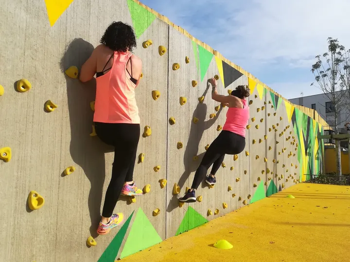 The Wild Project — coaching personnel-studio à Angers — 4
