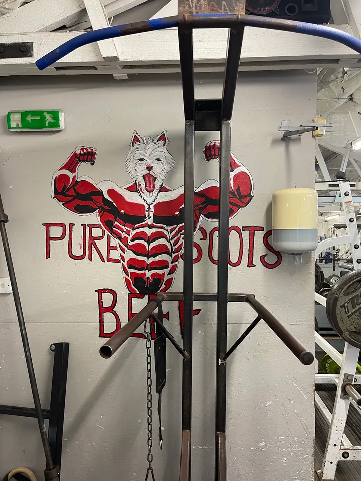 Spartan Gym Edinburgh — fitness studio in Leith Links, Edinburgh — 2
