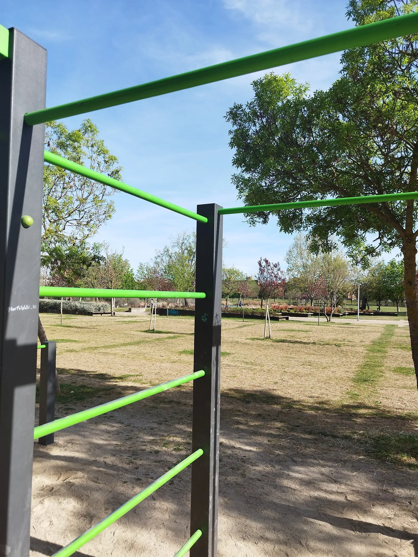 Parque dominadas y calistenia Laguna de Duero — calisthenics-studio en Laguna de Duero — 3