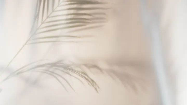 MINDFULNESS-HEIDELBERG — Meditation in Wieblingen, Heidelberg