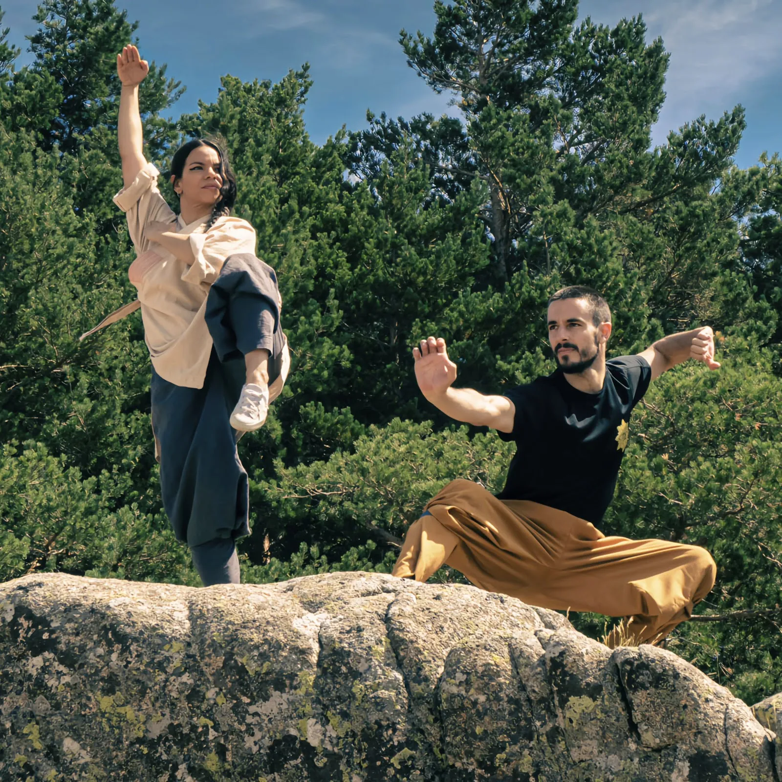 Shaolin Kung Fu Academy — artes marciales-studio en El Espinar — 2