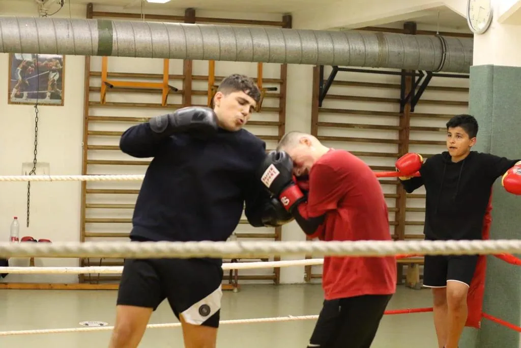 Boxclub Erfurt — boxen-studio in Gispersleben, Erfurt — 2