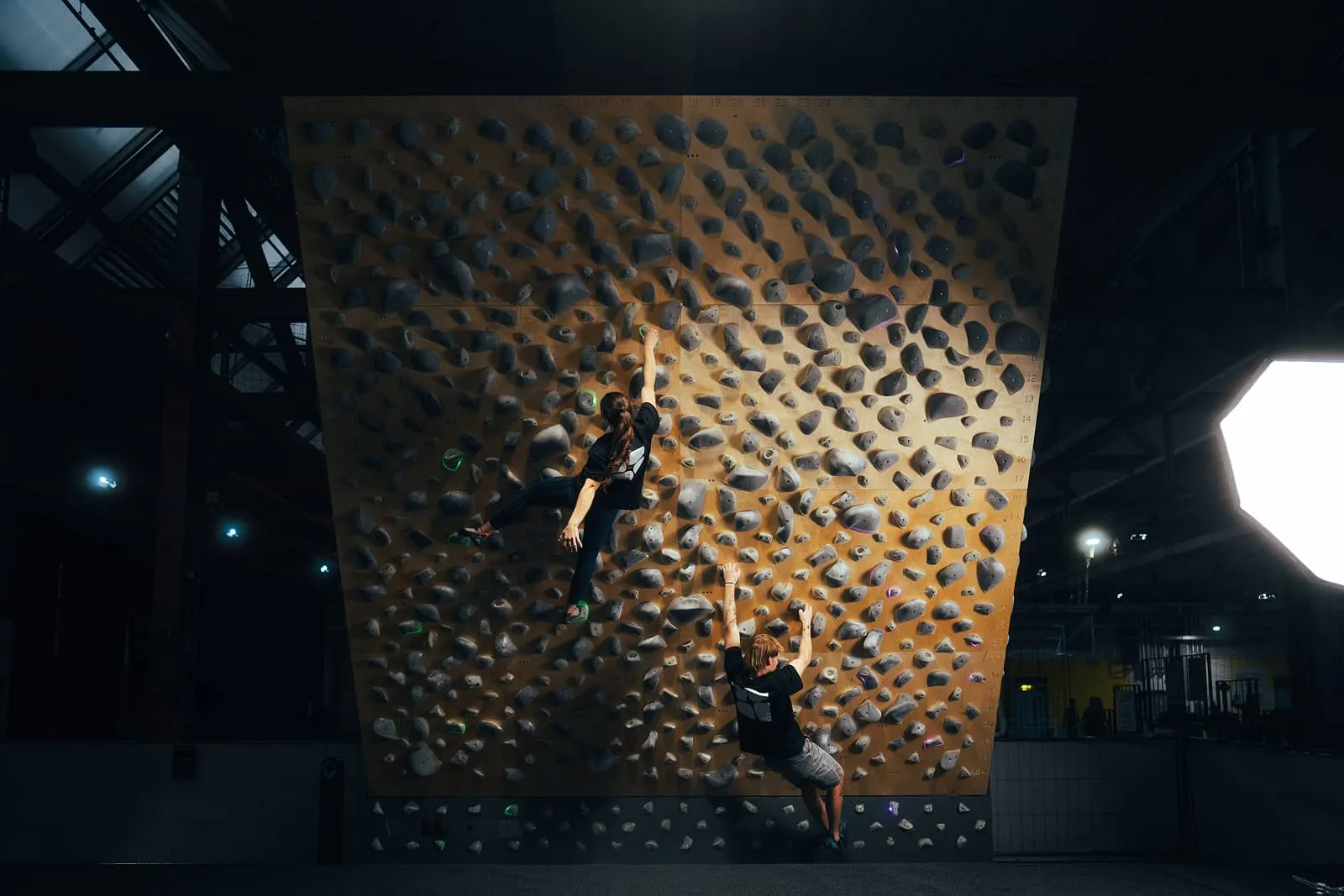 The Boulder Room - Pineapple Park — bouldering-studio i München — 2