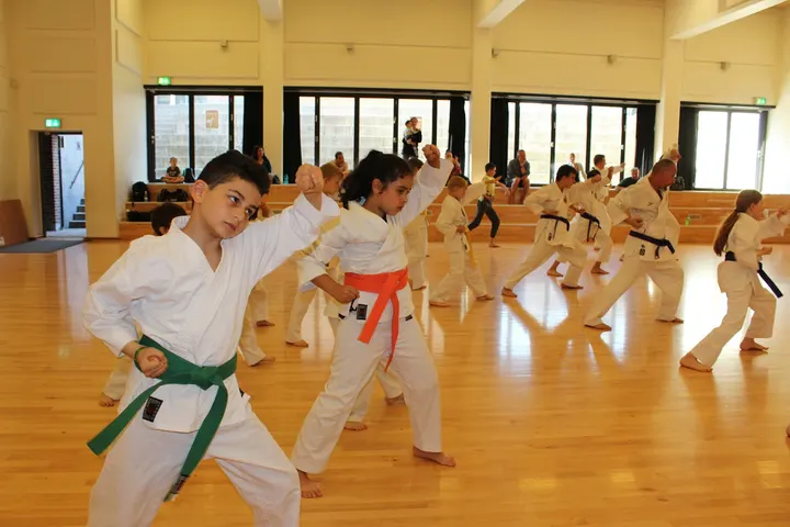Kami Karate Academy - JSKA-Denmark — kampsport-studio i Bispebjerg, København — 2