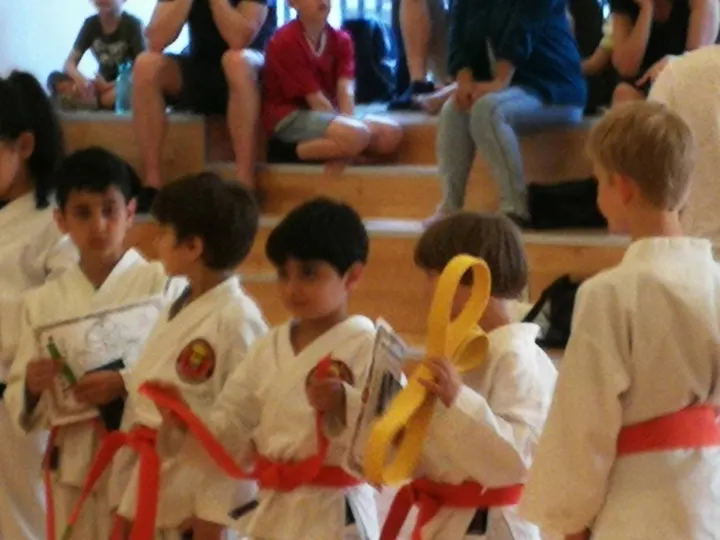Kami Karate Academy - JSKA-Denmark — kampsport-studio i København — 4