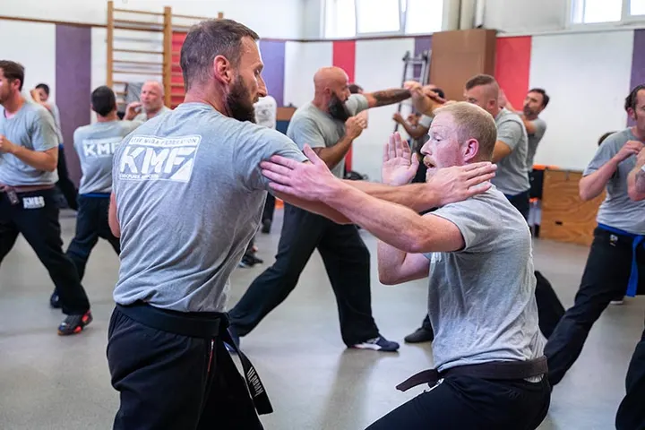 Schiltigheim Krav-Maga — arts martiaux-studio à Strasbourg — 5