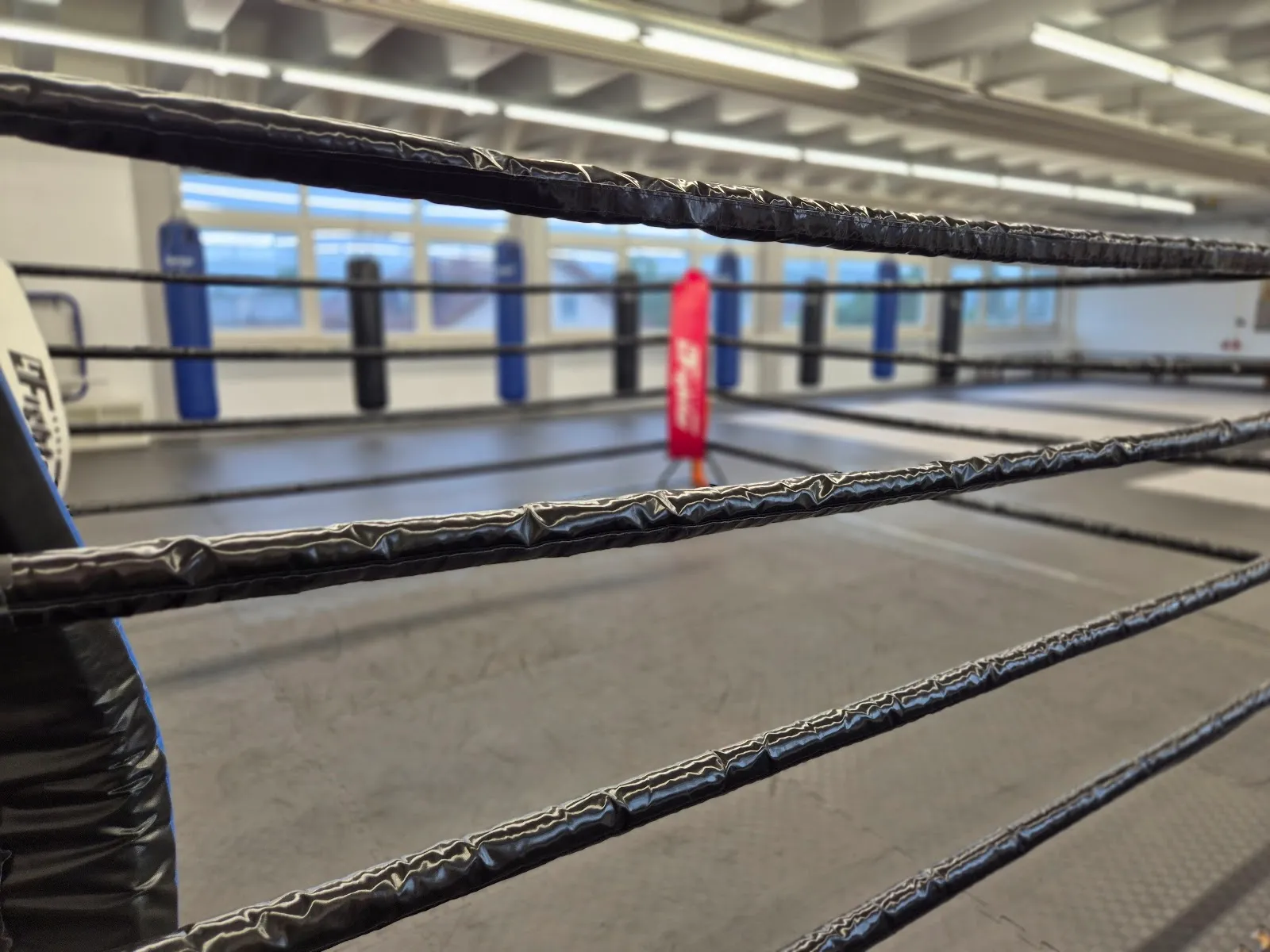 Fight & More — boxen-studio in Schorndorf — 3