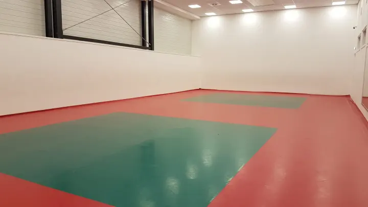 Vechtsportschool Hyun Moo Culemborg — Vechtsport in Parijsch Centrum, Culemborg
