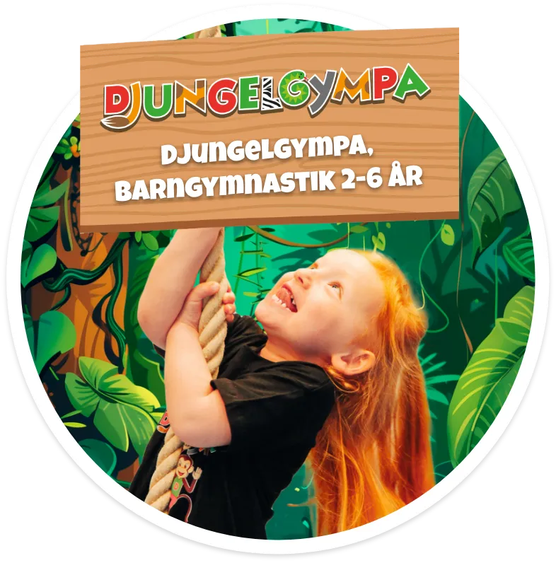 Bliss Dance Academy Dansskola Bjärred — dans-studio i Malmö — 2