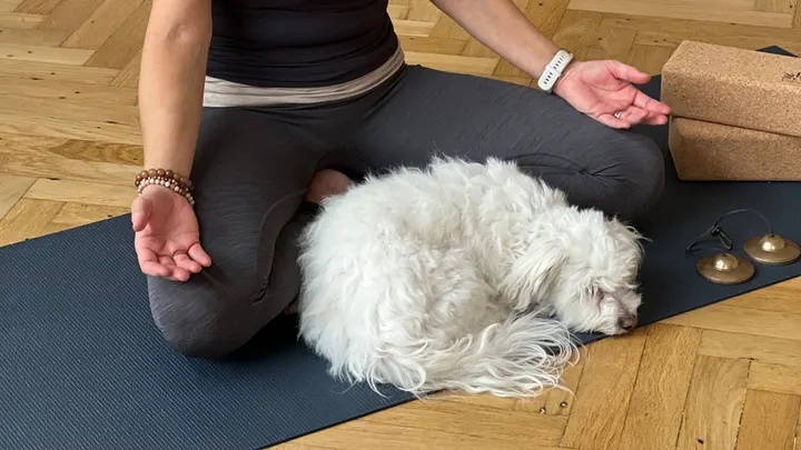 YinCare — yoga-studio i København — 5