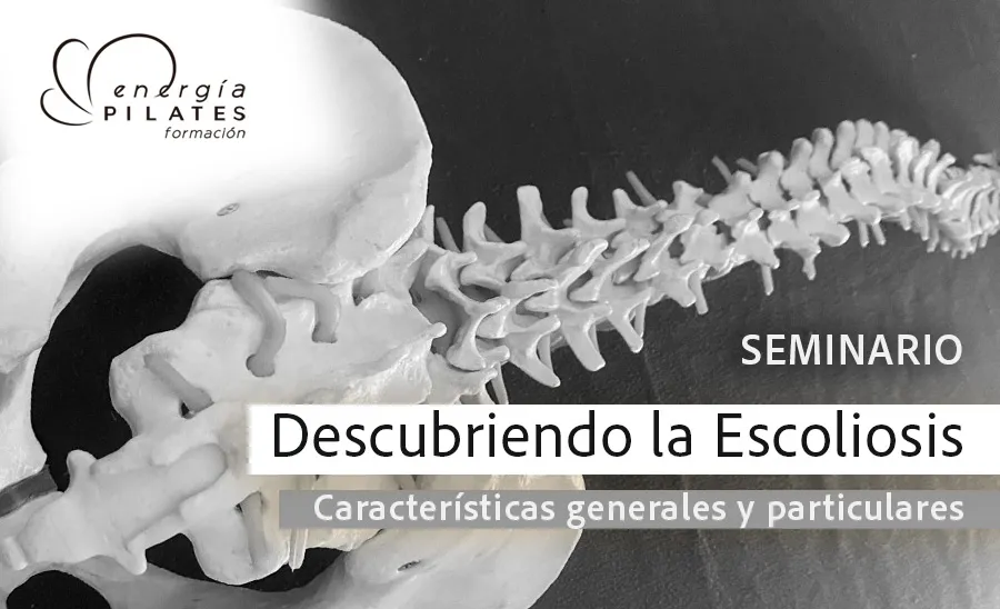 Energía Pilates — pilates-studio i Sevilla — bild 3