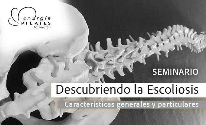 Energía Pilates — pilates-studio en El Porvenir, Sevilla — 3