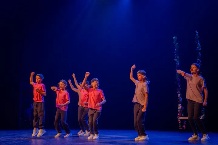 Wings dans- en balletschool — dans-studio in Noordwest, Veenendaal — 2
