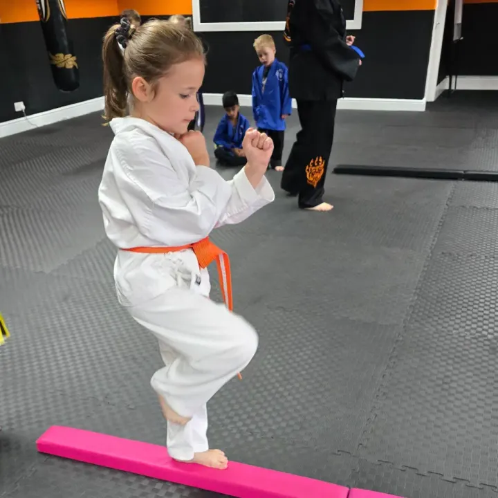 Black Paw Martial Arts Academy — martial arts-studio in Cleckheaton — 3