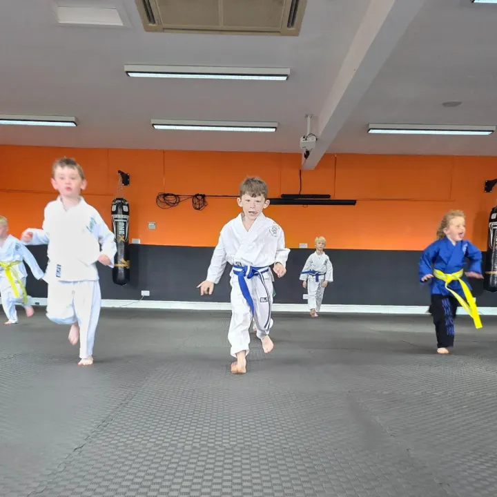 Black Paw Martial Arts Academy — martial arts-studio in Cleckheaton — 5