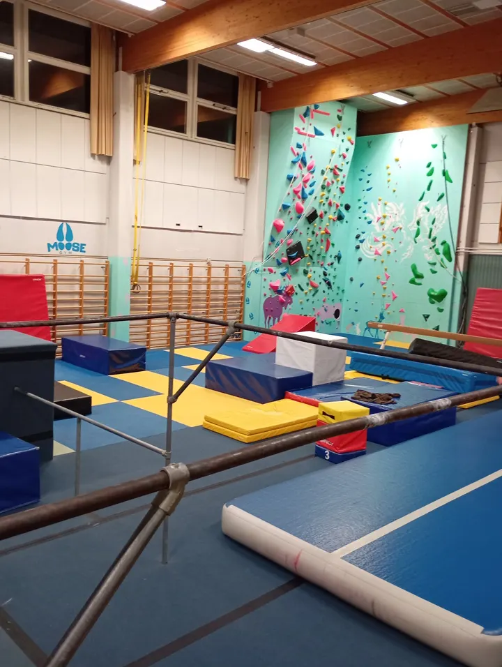Moose Gym — fitnessstudio – Koivula, Orimattila — 2