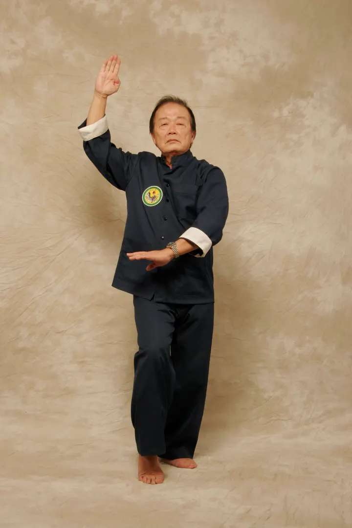 Fédération de Kungfu Taichi — Arts martiaux à Paris 7e Arrondissement, Paris