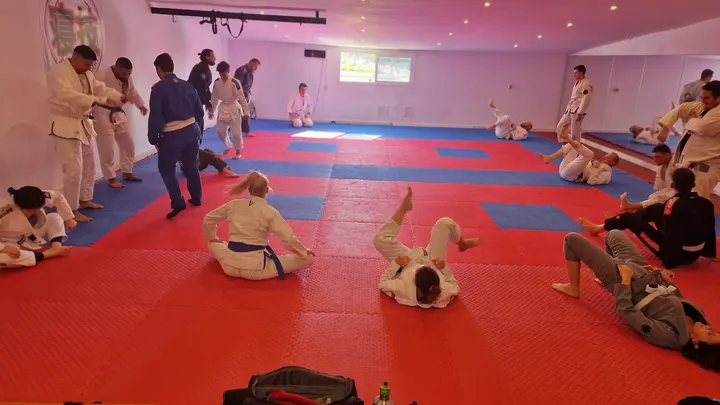 Newaza Jiujitsu Academy — artes marciales-studio en Las Lagunas de Mijas — 3