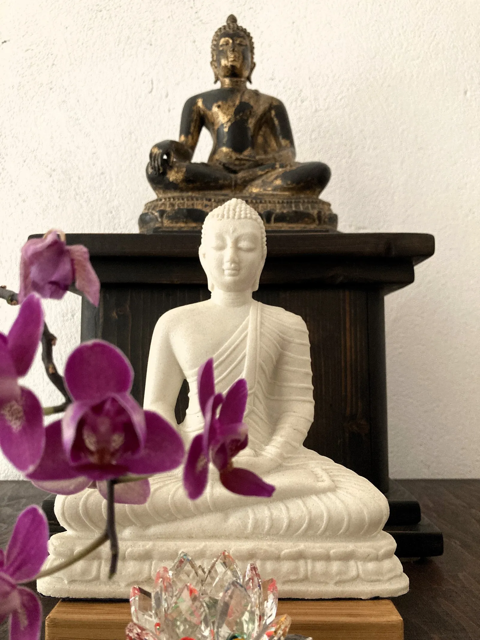 Zen Dojo Shobogendo — meditation-studio in Hannover — 5