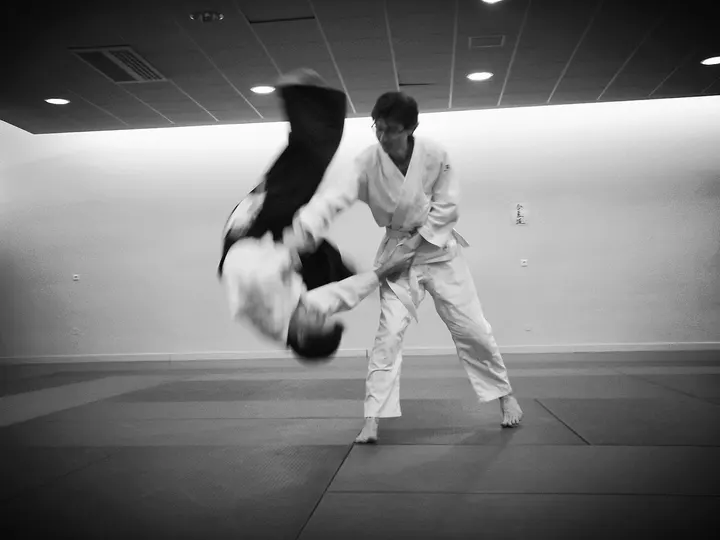 Aïkido Nancy Sports de Combat — arts martiaux-studio à Nancy — 3
