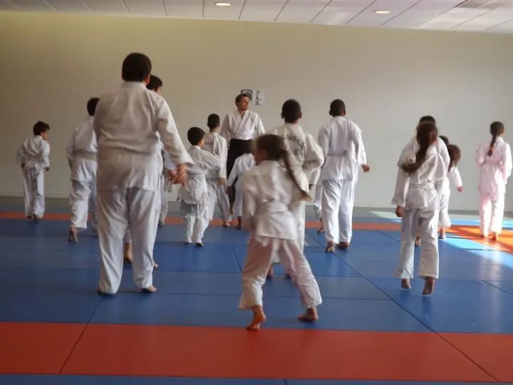 Aïkido Nancy Sports de Combat — Arts martiaux à Plateau de Haye, Nancy