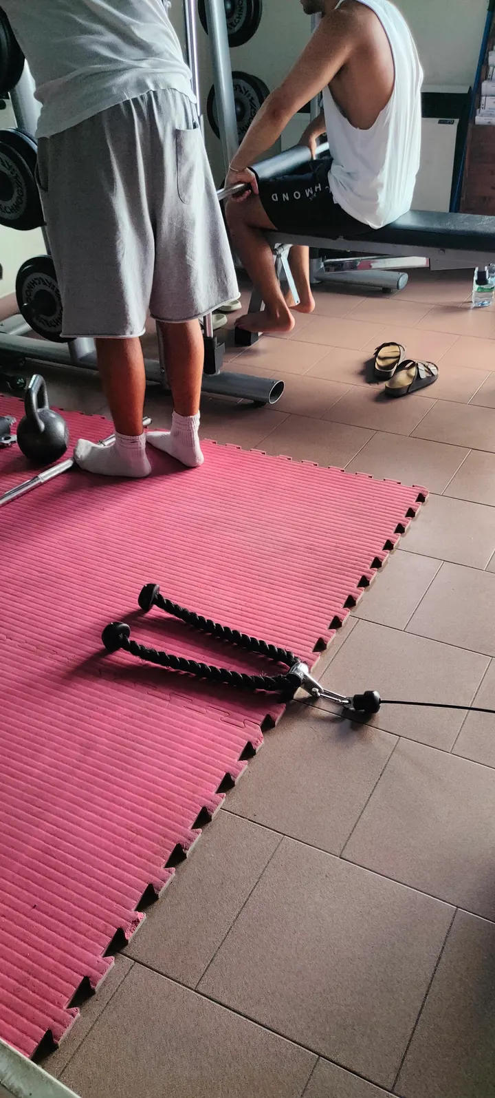 Palestra Futura Bellaria — palestre-studio a Bellaria — 4