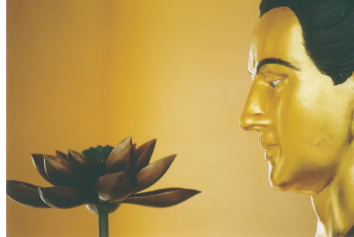 Buddhistisches Zentrum Essen — meditation-studio in Essen — 3