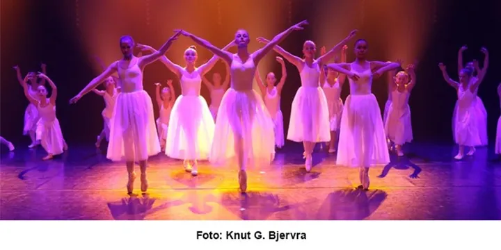 Verzatile Dancestudio AS — dans-studio i Horten — 3